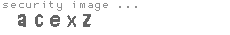 security image