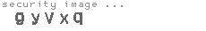 security image