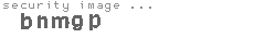 security image