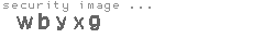 security image