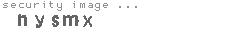 security image