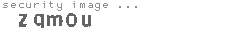 security image