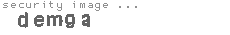 security image