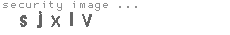 security image