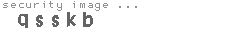 security image