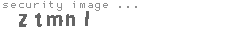 security image
