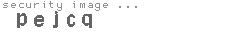 security image