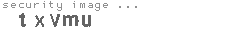 security image